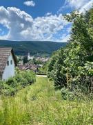 Top Titisee-Neustadt