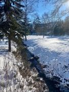 Top Titisee-Neustadt