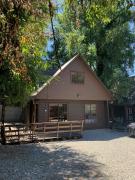 Top Licán Ray Top Licán Ray