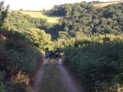 Top Wembury