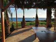 Top Afiartis Top Afiartis