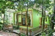 Top Monteverde