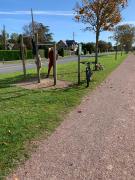 Top Blonville-sur-Mer