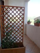 Top Camerota