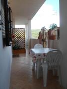 Top Camerota