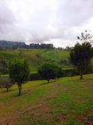 Top Santa Rosa de Cabal