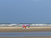 Le Cocon Gite ou chambre dhôte