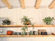 Top Pacengo di Lazise