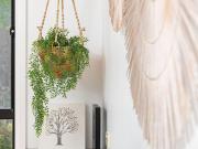 Ocean Breeze on Cooper