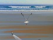 Top Yzerfontein
