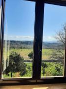 Top Seminara Top Seminara