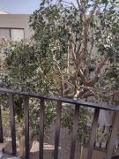 Top Casa Blanca La Corregidora