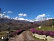 Top Muzzano