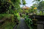 Top Ubud