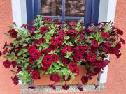 Top Arnstadt Top Arnstadt