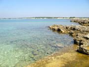 Top Punta Prosciutto