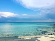 Top Punta Prosciutto