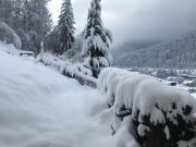 Appartement Birkheim