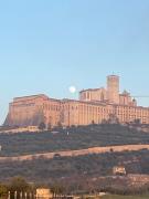 Top Assisi