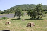 Top Villeperdrix