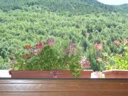 Top Ainet de Besan