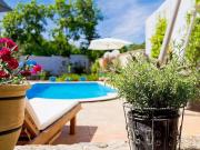 Villa Kažun with private pool and two gardens