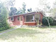 Top Puerto Clocker Top Puerto Clocker