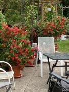 Top Uphusum Top Uphusum