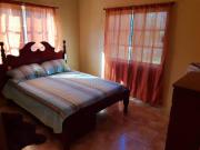 Top Crooked Tree Top Crooked Tree