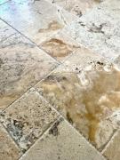 Top Ormond Beach Top Ormond Beach