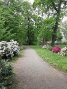 Top Veselí nad Moravou