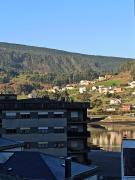 Top Viveiro