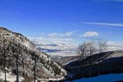 Top Carbondale
