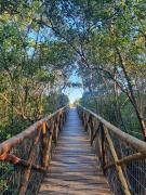 Vale de Hermon em Guaraú