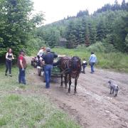 Top Băile Tuşnad Top Băile Tuşnad