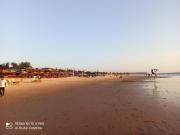 Top Calangute