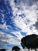 Top Lucera