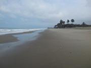 Top Carrizal