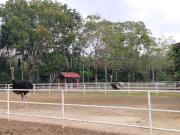 Top Padang Besar
