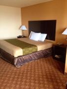 Top San Antonio Top San Antonio