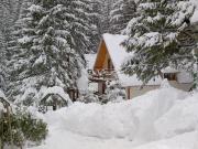 Traveland Boutique Resort Poiana Brasov