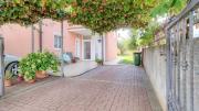 Top Novigrad Istria