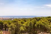 Top Palma de Mallorca