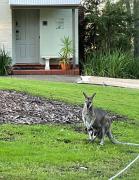 VILLA DION - 3 Bedrooms situated in Cypress Lakes Resort