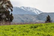 Top Prince Alfred Hamlet Top Prince Alfred Hamlet