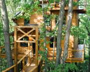 Treehouse #2 by Amish Country Lodging