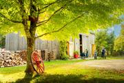 Top Mahone Bay