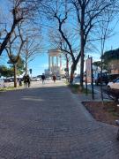Top Ancona