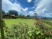 Top São Pedro
