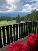 Top Ledro